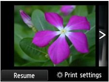 Imagen: pantalla LCD